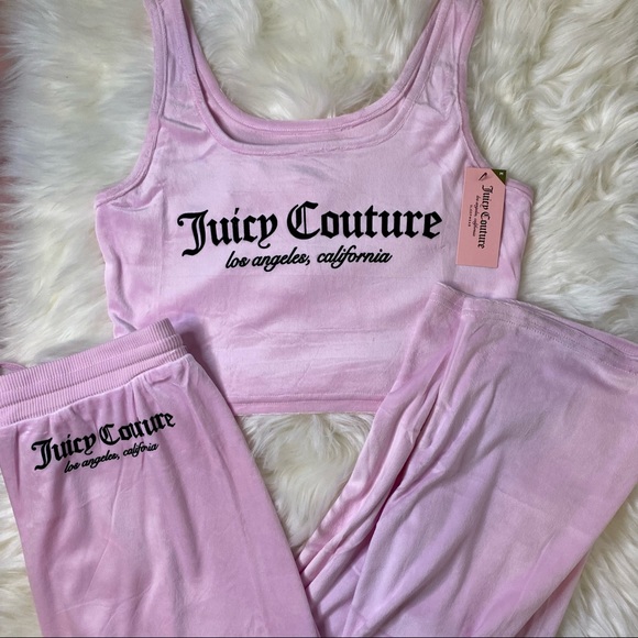 Juicy Couture Other - Juicy couture NWT pink velour set